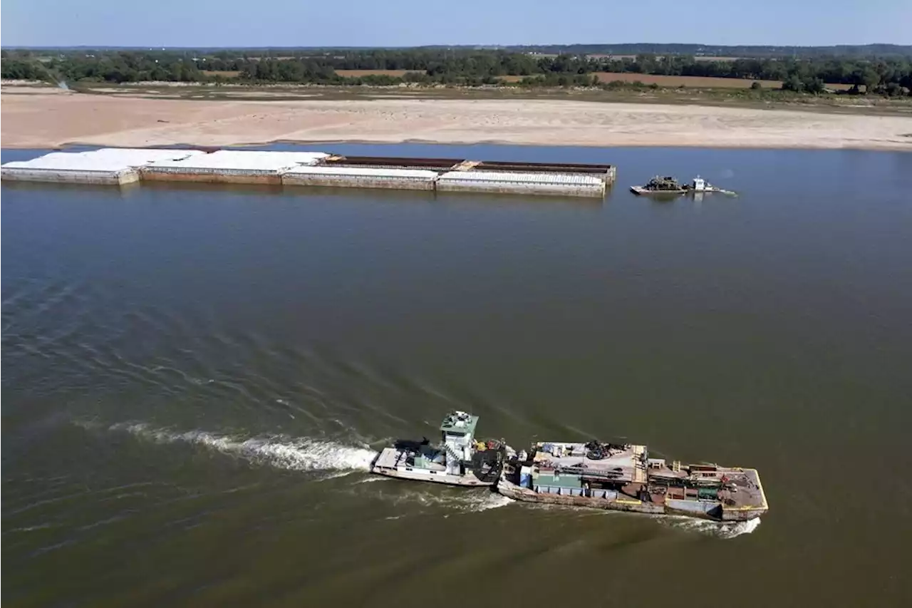 Low Mississippi River limits barges just as farmers want to move their crops downriver