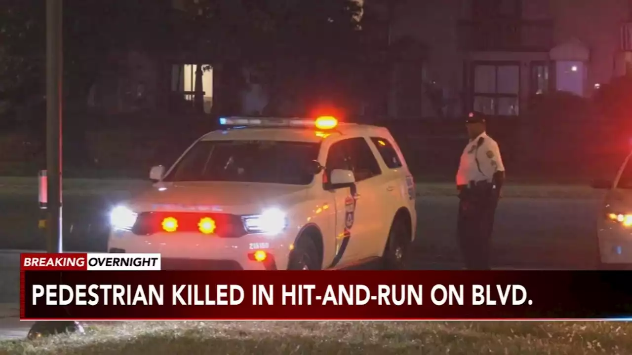 Man killed in Roosevelt Boulevard hit-and-run