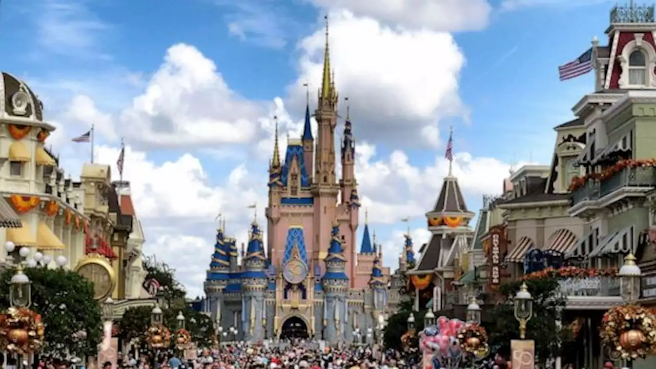 Rides reopened after black bear spotted at Walt Disney World's Magic Kingdom park