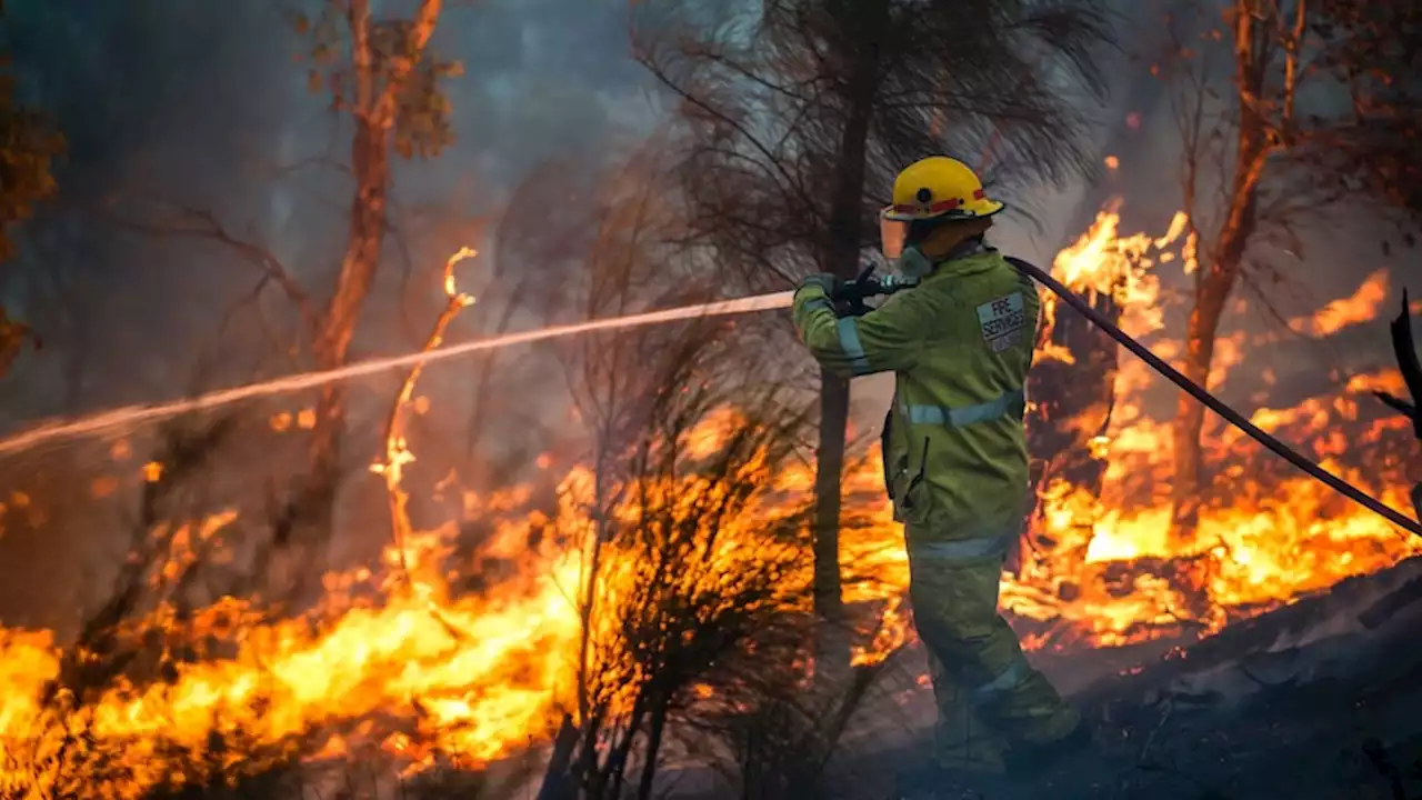 Fears lives could be lost due to lack of volunteer rural firefighters during 'traumatic fire season'