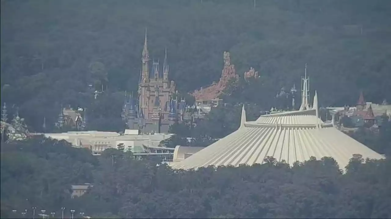 Bear at Walt Disney World prompts Magic Kingdom ride closures