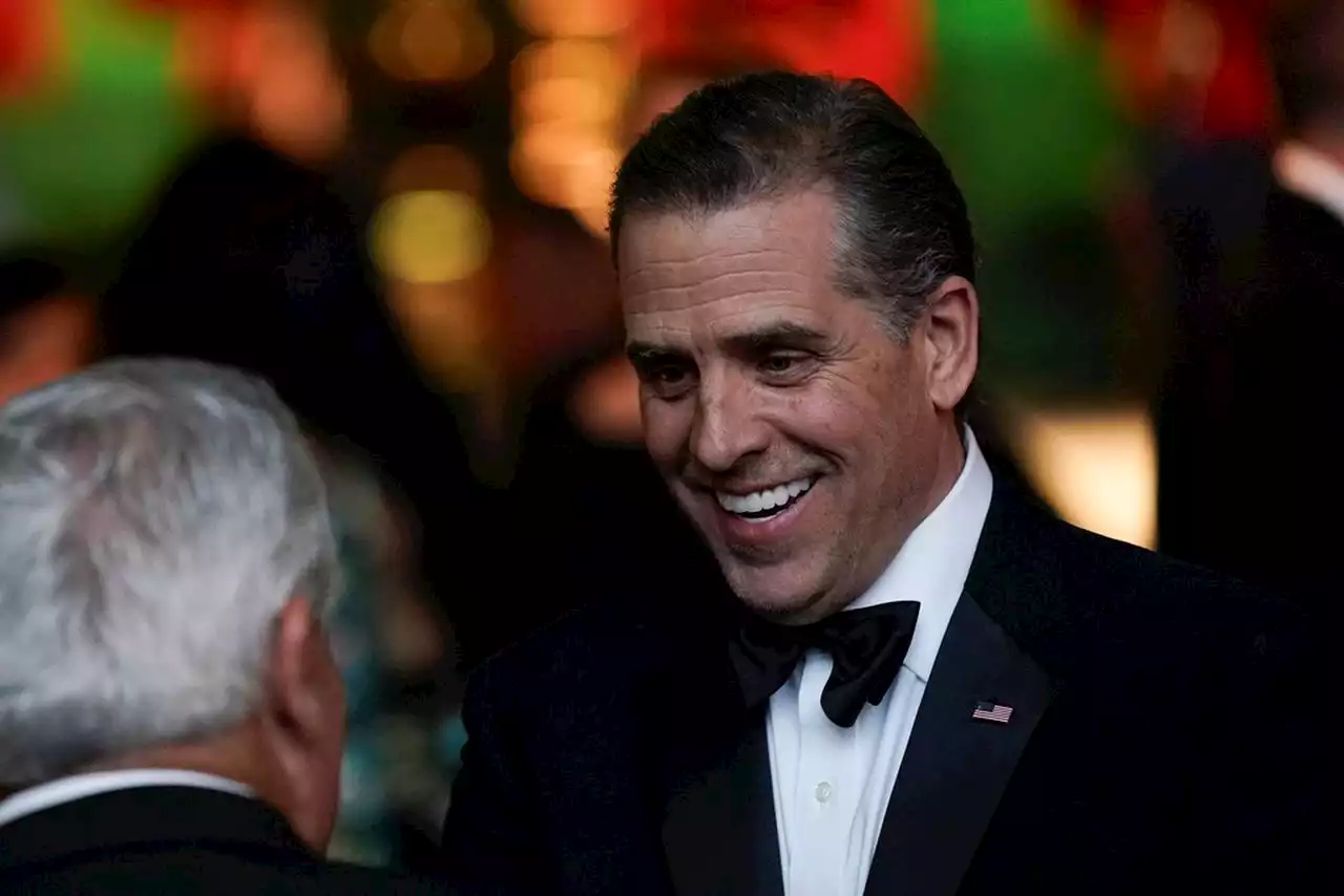 Hunter Biden sues IRS, claims agents ‘targeted and sought to embarrass’ him