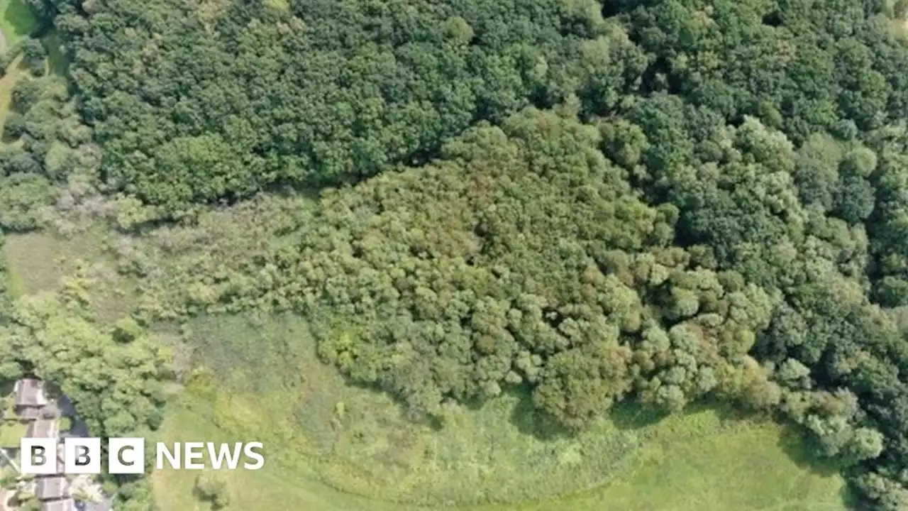 Conservation work at Telford 'jewel in the crown' habitat