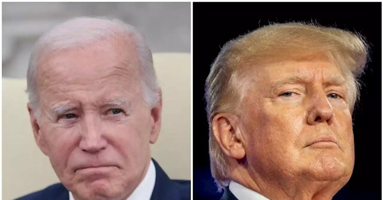 Polls: Donald Trump Leads Biden Nationally in Head-to-Head Presidential Race