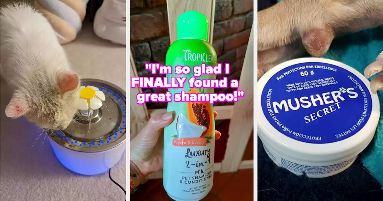 25 Pet Products Reviewers Say Finally Helped After They Tried Everything Else