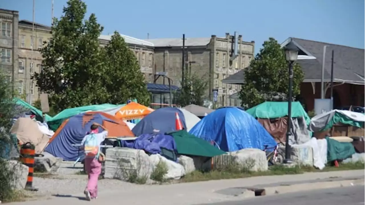 | Municipalities can't solve homelessness without more federal and provincial aid, experts say