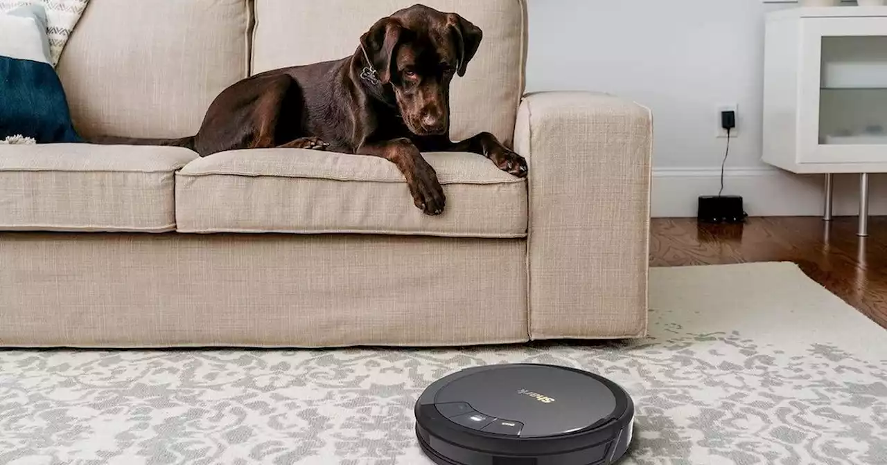 Best robot vacuum deals on Amazon ahead of the Prime Big Deal Days sale