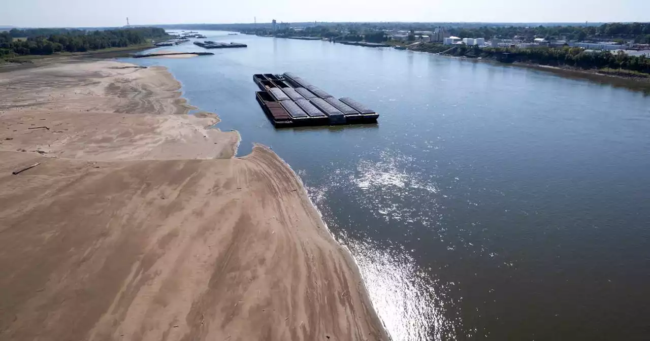 Low Mississippi River limits barges just as farmers want to move their crops downriver