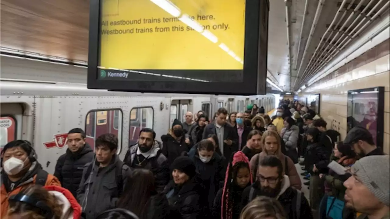 Recent violence on Toronto transit 'indicative of something larger': TTC