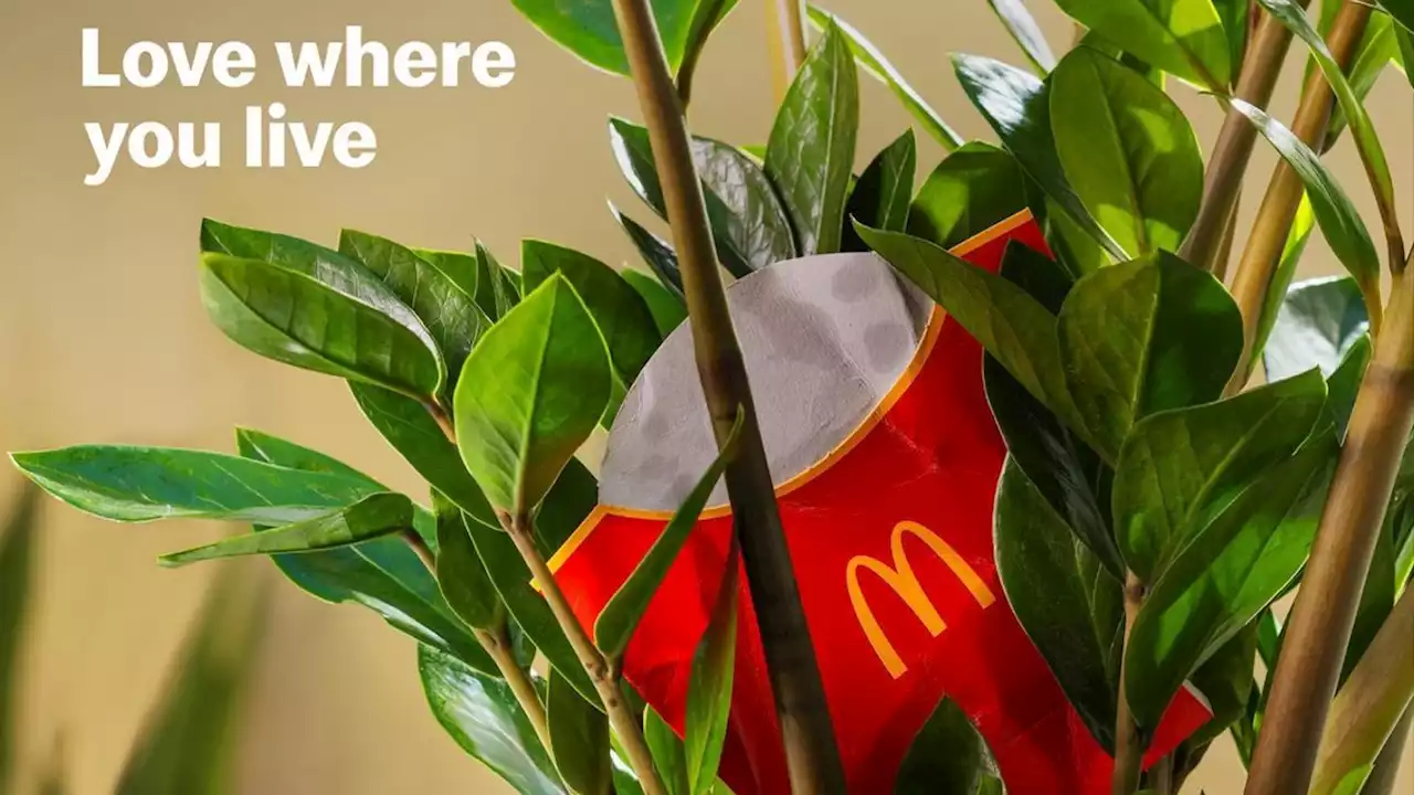 McDonald's striking new ads will make you think twice about littering