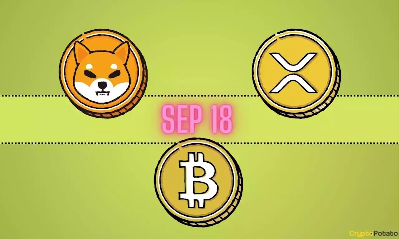 New XRP Price Predictions, BTC Price Targets, SHIB Bull Run Preparation: Bits Recap Sep 18