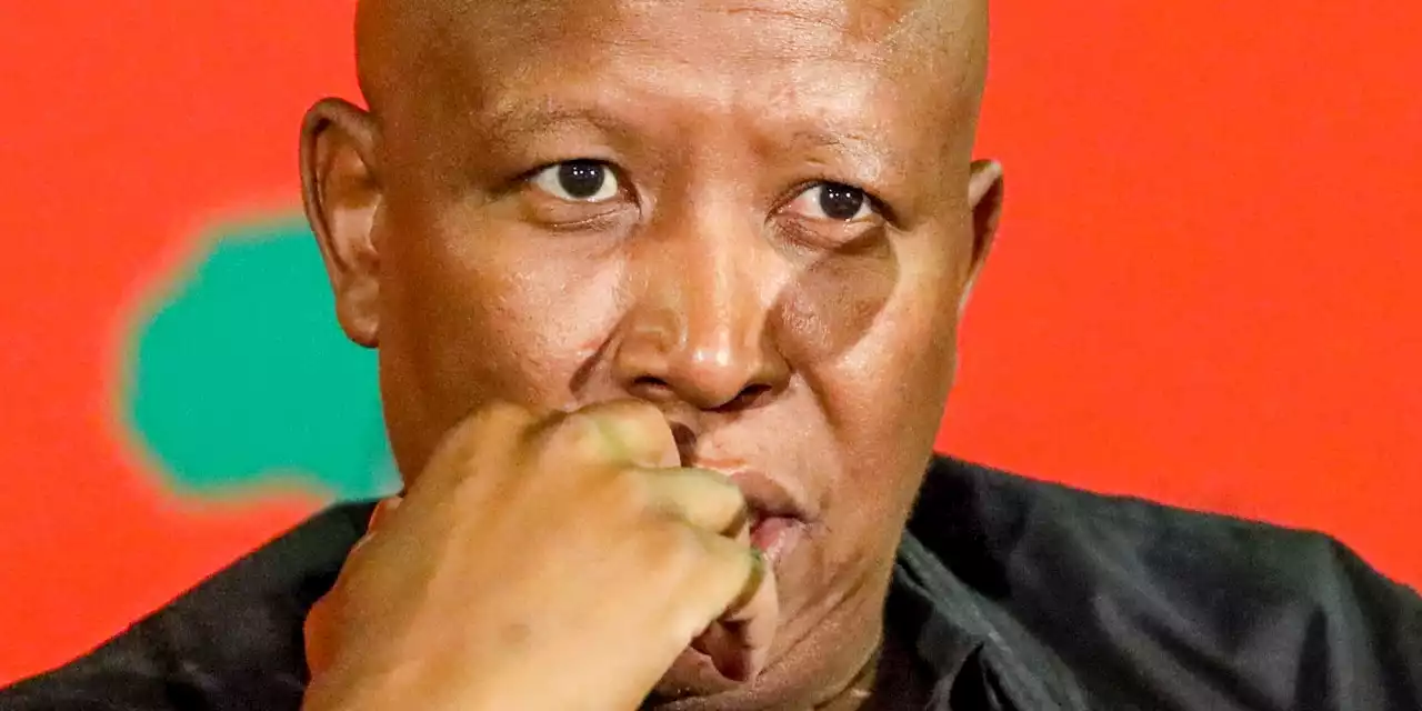 Rule of law? What rule of law? Malema’s never-ending flouting of SA law continues