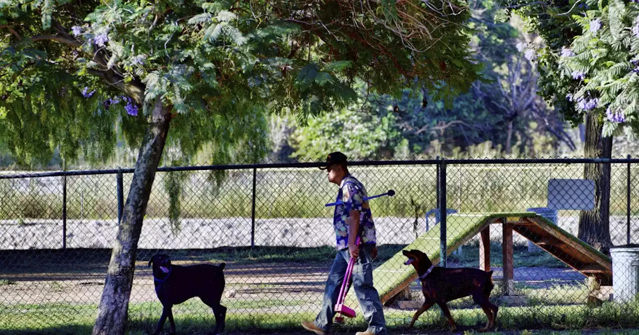 California receives part of $1 billion federal grant to plant trees to tackle extreme heat