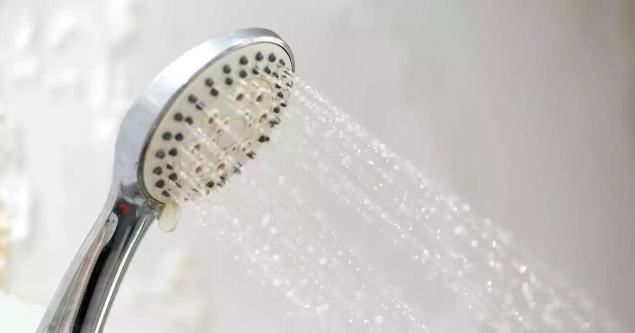 'Cheap' cleaning hack to get rid of shower head limescale