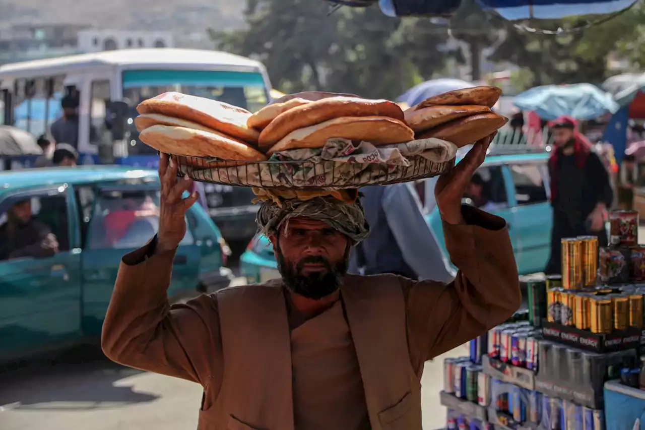 Más hambre, más pobreza y más calor: el mundo “está muy lejos” de la Agenda 2030