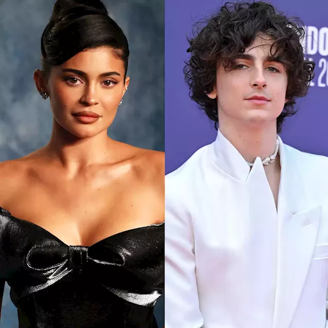 Kylie Jenner and Timothée Chalamet Have a 'Good Vibe' Amid Romance, Source  Says
