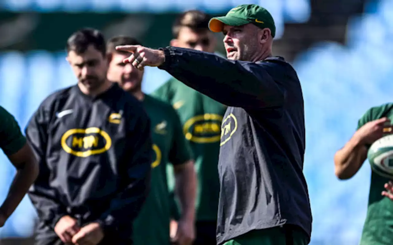 Springboks coach Nienaber has tricks up his sleeve, says Murray