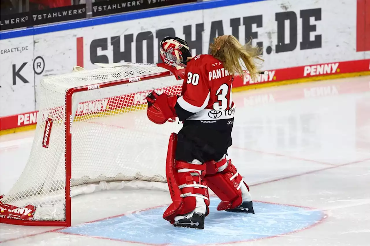 Die Zahlen zum Mega-Start: Da weht die Mähne: Rock ’n’ Roll im Haie-Kasten