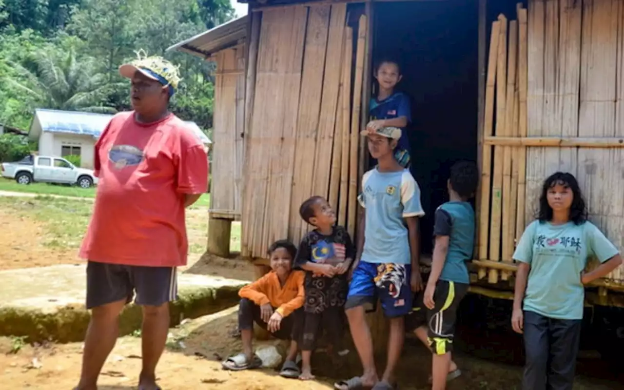 Temiar Orang Asli in Gua Musang plead for customary land to be gazetted