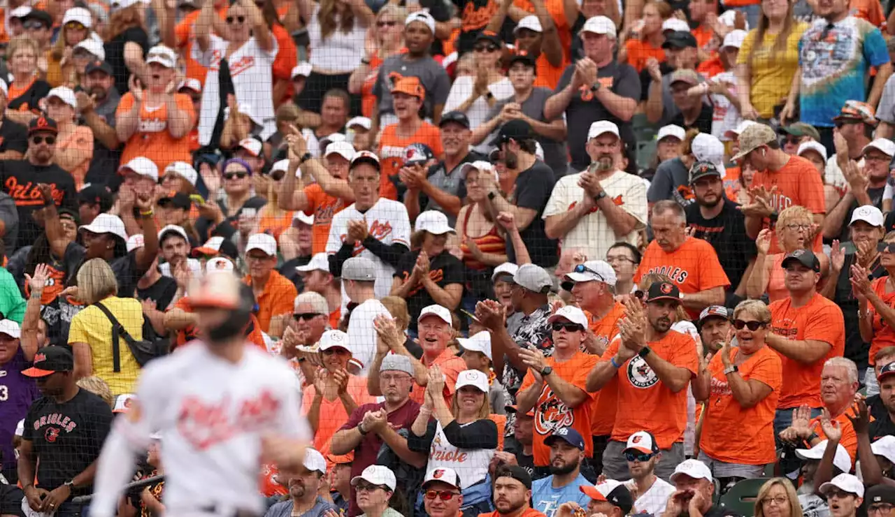 Orioles, Rays both clinch playoff spots as Baltimore wins in 11 innings