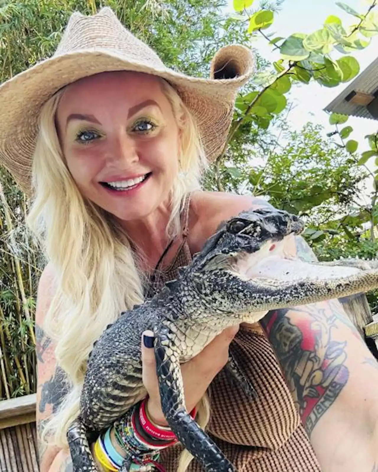 Alligator with missing jaw finds new home in Florida reptile park