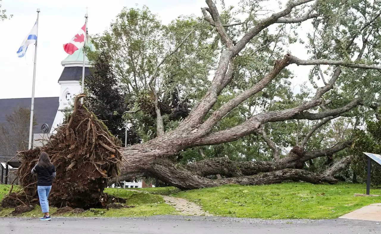 Weather-weary Maritimers clean up after post-tropical storm Lee