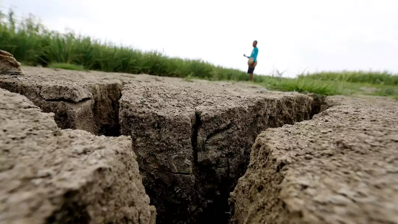 El Nino and the Story of a Farmer's Plate of Rice