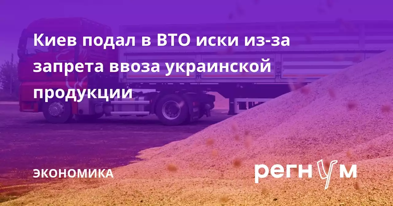 Киев подал в ВТО иски из-за запрета ввоза украинской продукции