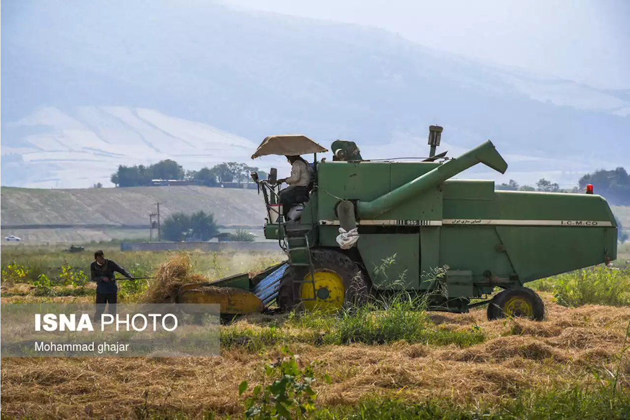 تشکیل ۵۲ پرونده تخلف برای شالیکوبی های گیلان