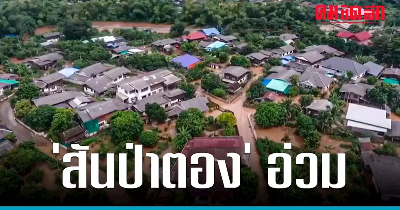 'สันป่าตอง' ยังอ่วม 'ฝนตกหนัก' ทำน้ำป่าไหลหลากนำล้นตลิ่งทะลักท่วม