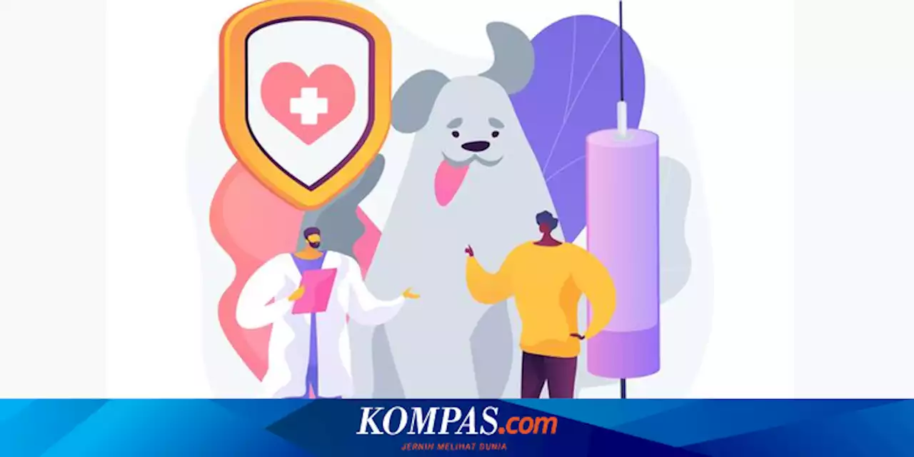 Dosen FKH UGM: Waspadai Gejala Awal Rabies pada Manusia