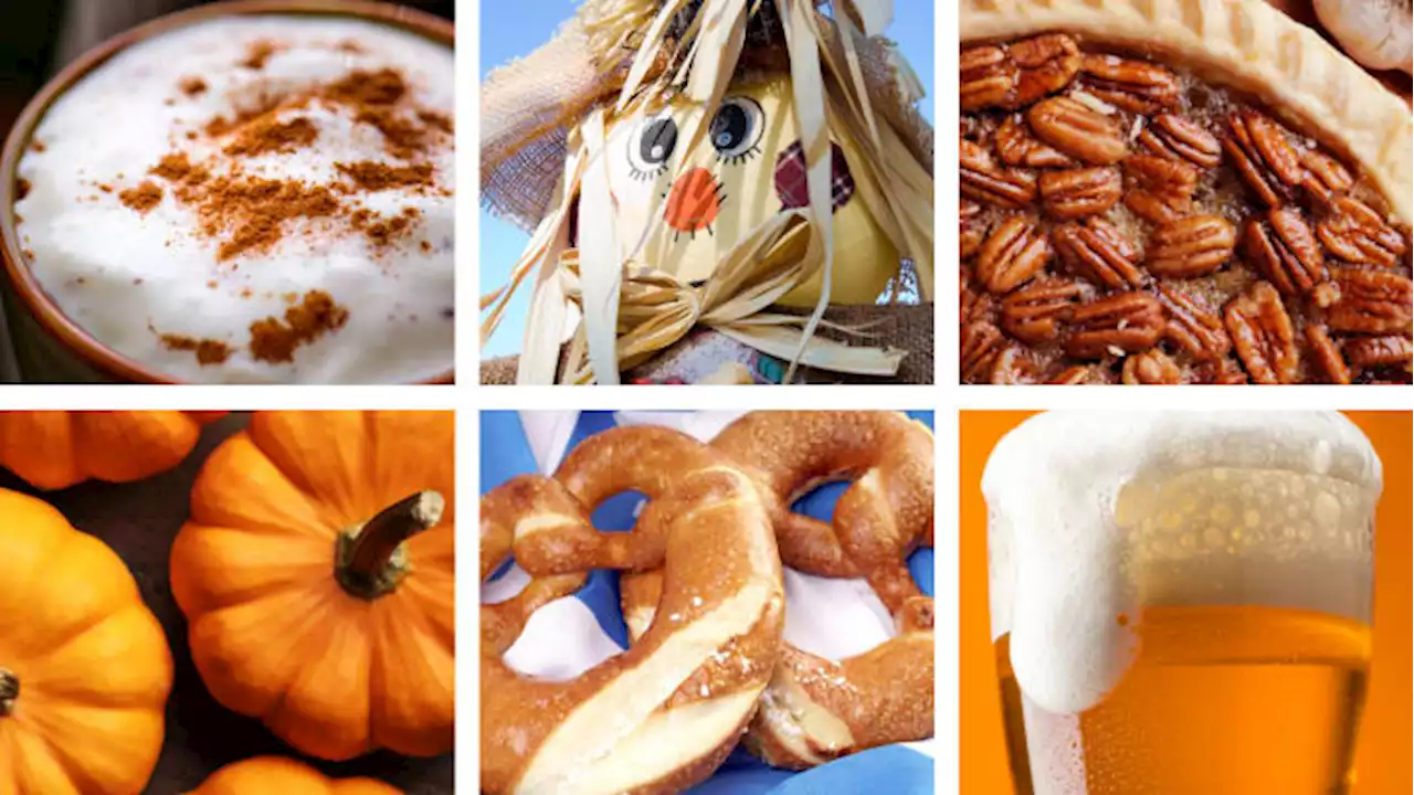 Fall-O-Ween: These autumnal Houston-area festivals scream ‘fall’ 🍂