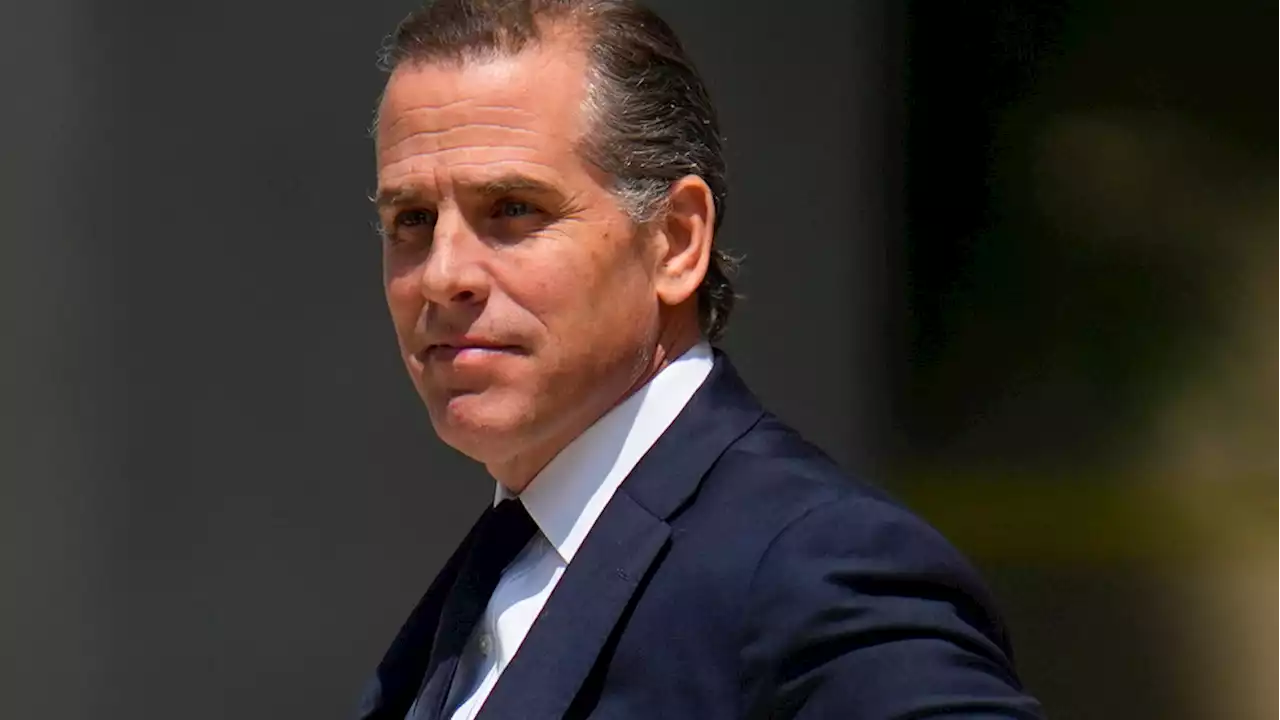 Hunter Biden sues the IRS over public display of tax information