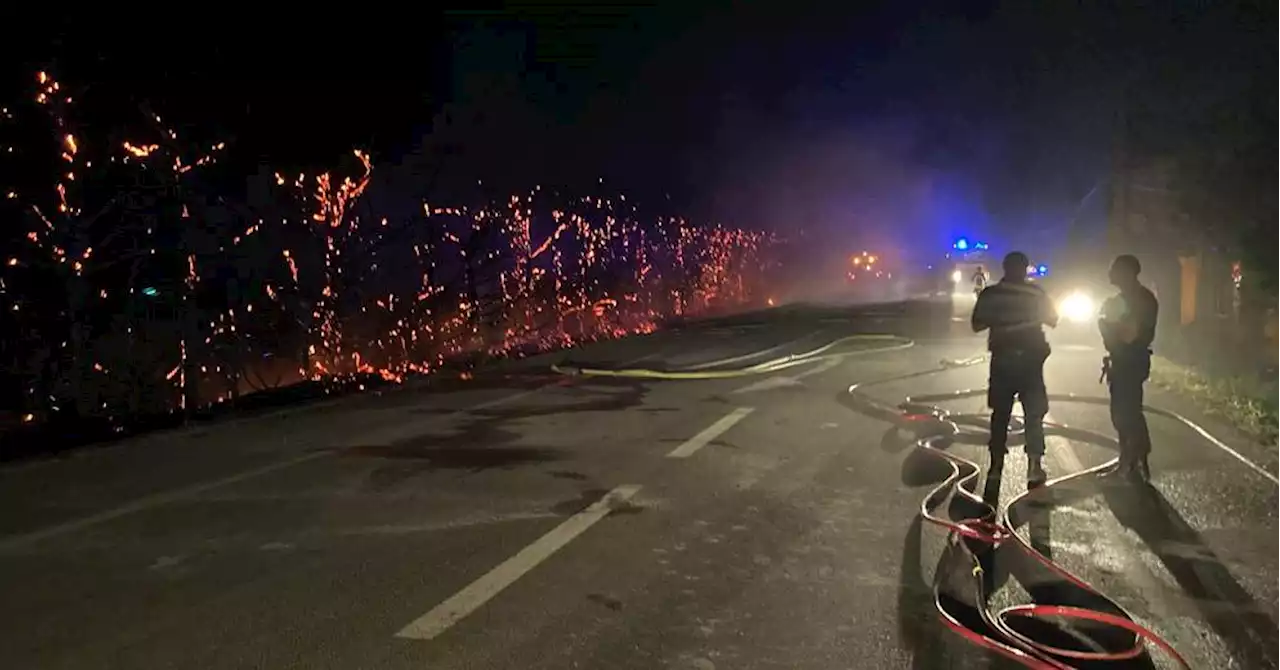 Carpentras : une haie de cyprès prend feu, les occupants d’une dizaine d’habitations confinés