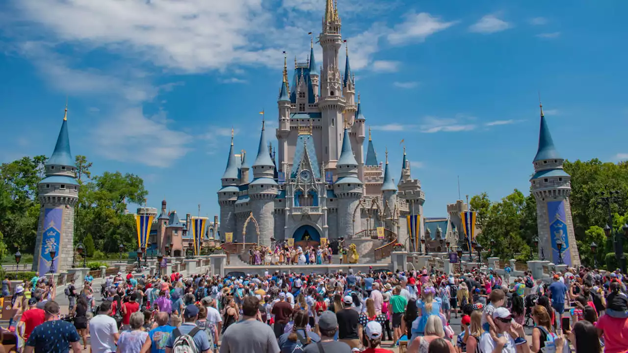 Wild black bear captured in Florida’s Walt Disney World