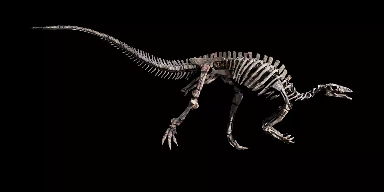 After 150 Million Years, Barry the Dinosaur Makes Its Auction Debut