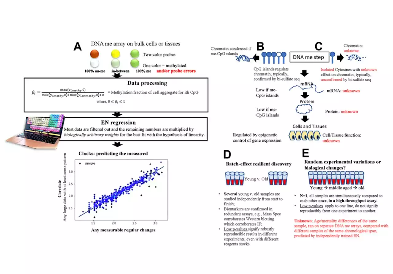 Development of a noise barometer for measuring epigenetic pressure of aging and disease