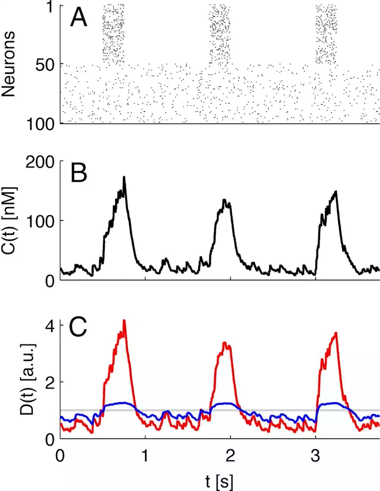 Researchers have found multiple types of dopamine neurons with different functions