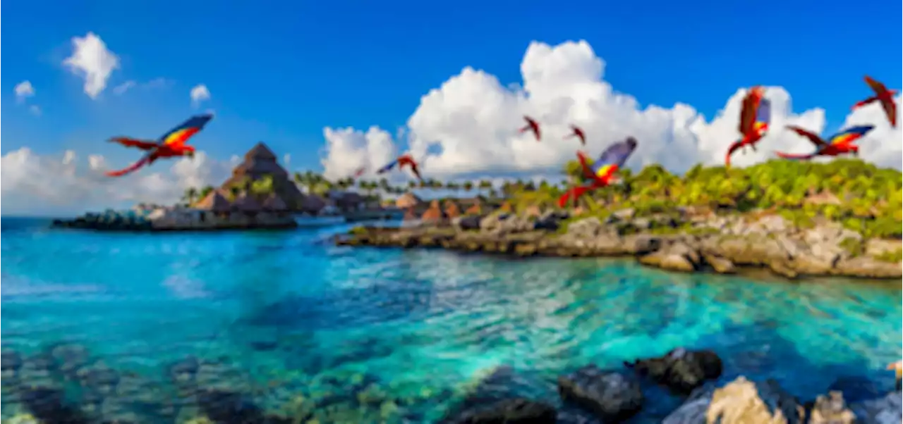 Xcaret y Hotel Xcaret Arte fueron galardonados en los World Travel Awards 2023