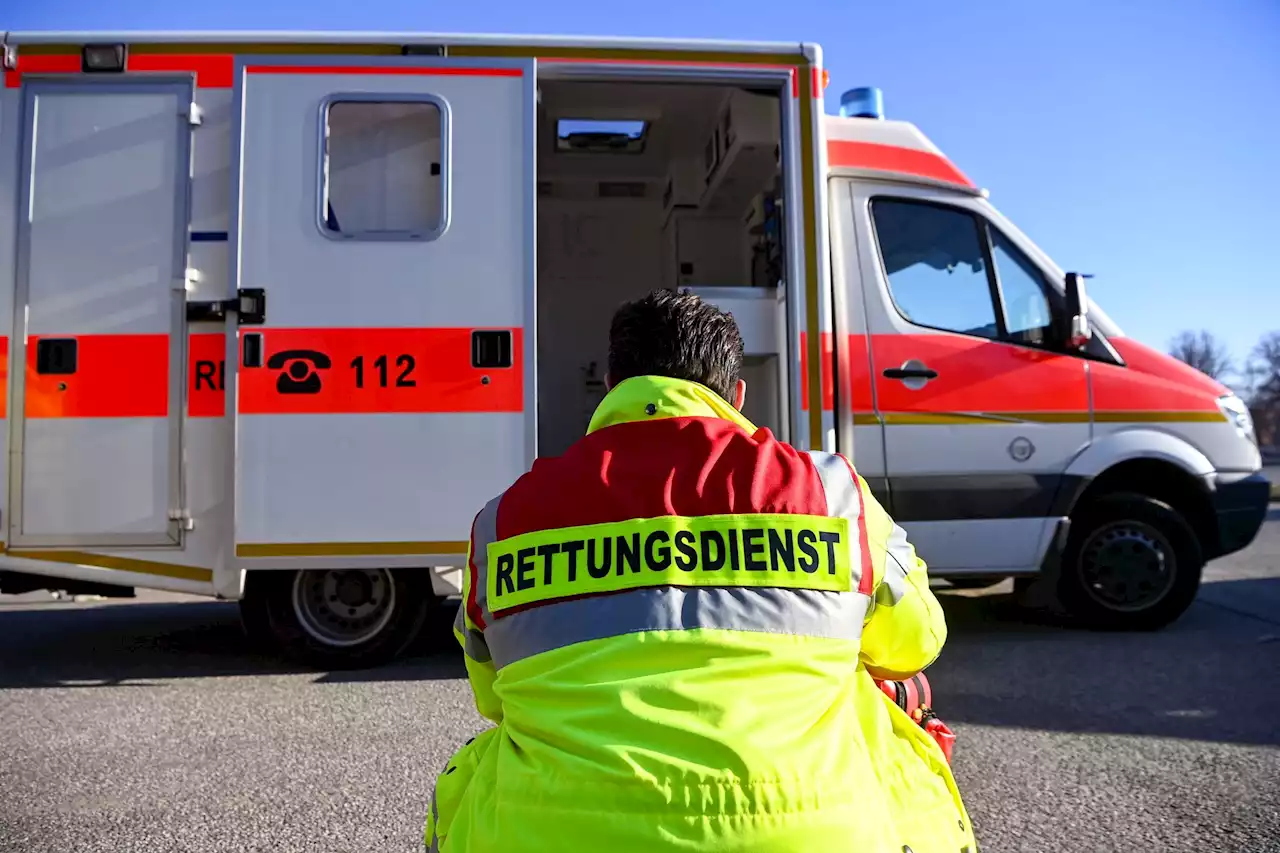 Baum stürzt um und trifft Radfahrerin: Schwere Verletzungen