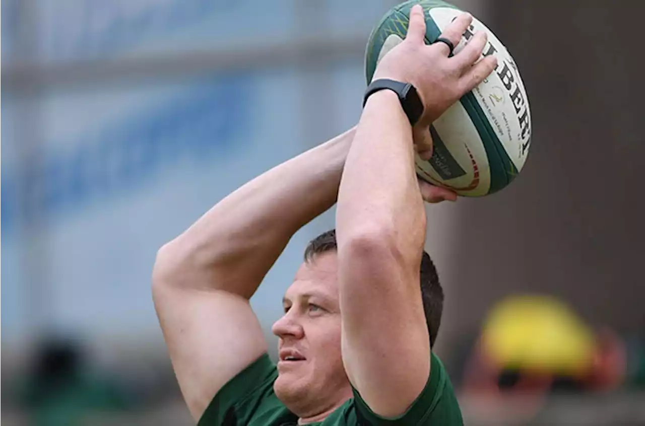 | Bok experimentation pays off, but not all will roll over like Romania