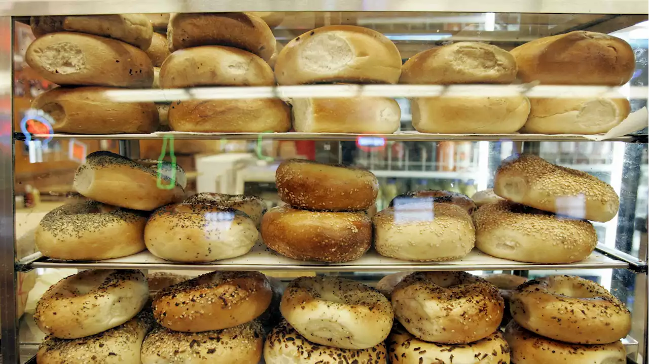 The Plain Bagel Rule: How naked bread is the ultimate test of a bakery
