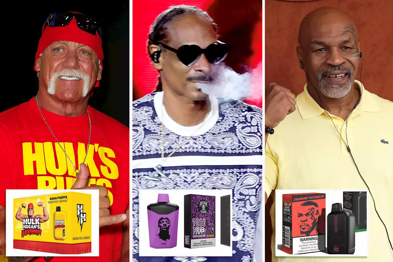 NY delis demand Snoop Dog, Mike Tyson, Hulk Hogan stop peddling kid friendly e-cigs