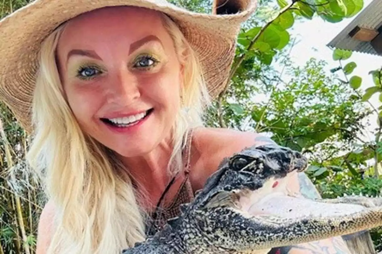 Alligator with missing jaw finds new home in Florida reptile park