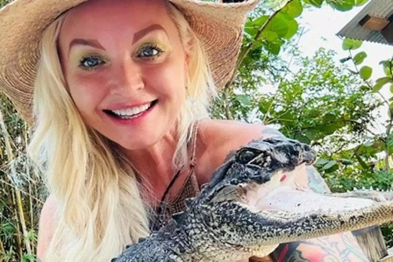 Alligator with missing jaw finds new home in Florida reptile park