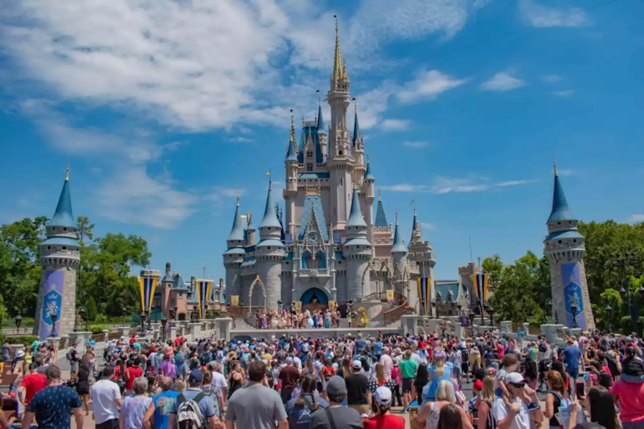 Wild black bear captured in Florida’s Walt Disney World