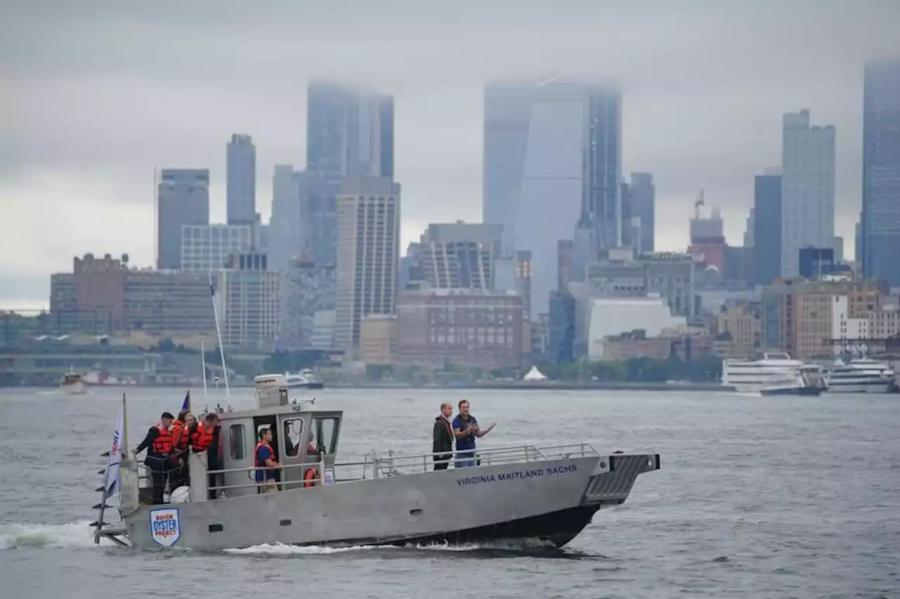 William crosses New York’s Hudson River to visit oyster beds initiative