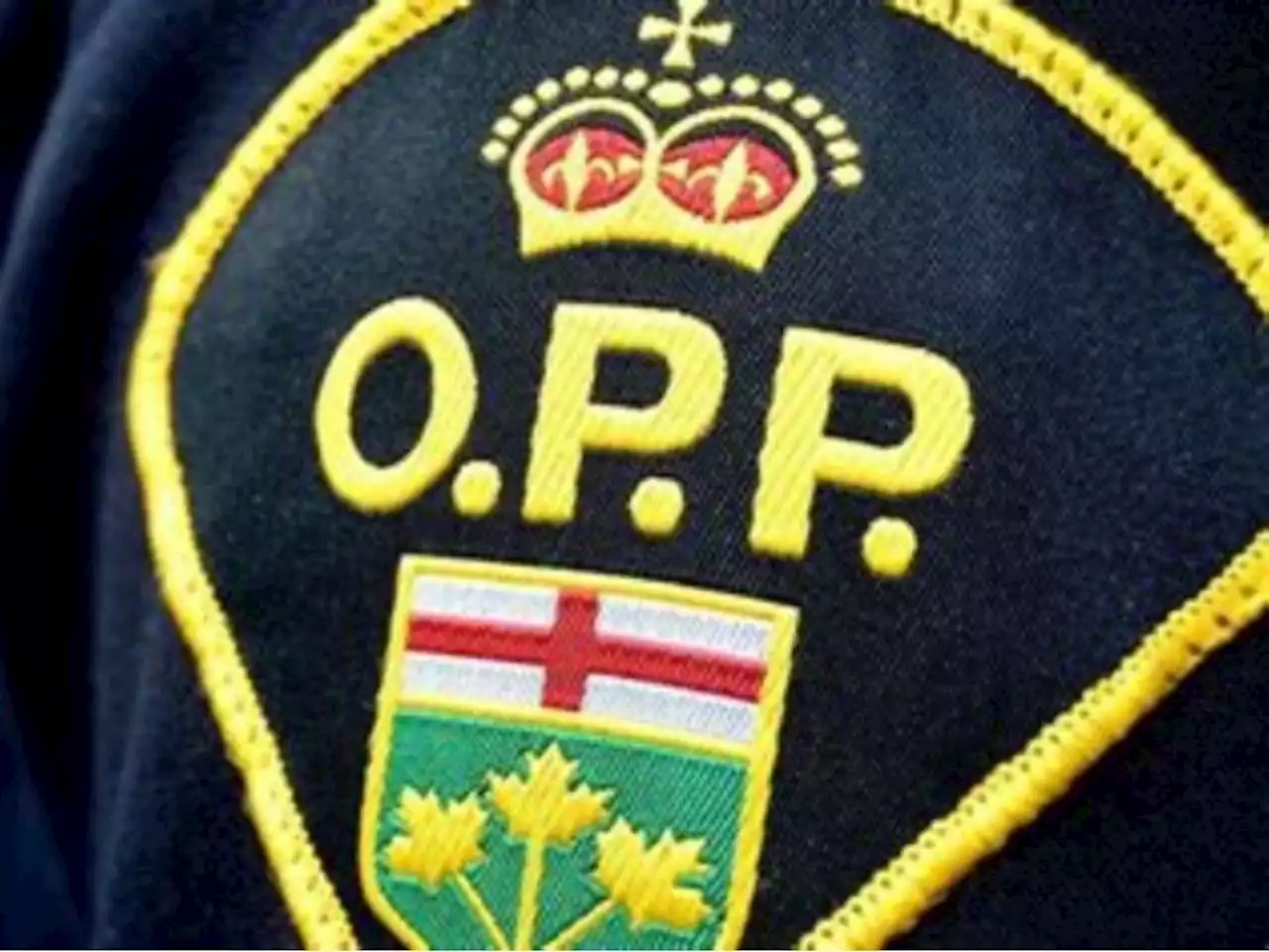 Ottawa senior charged with possession of child pornography