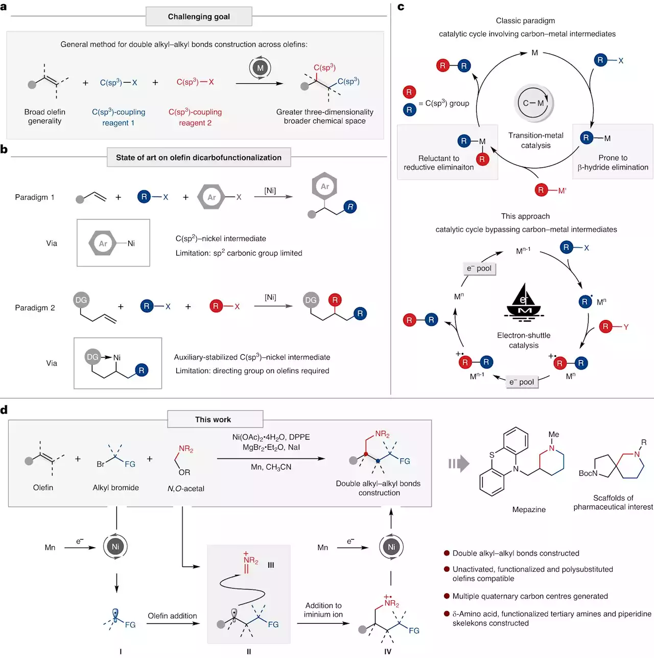 Researchers propose novel paradigm of metal electron-shuttle catalysis