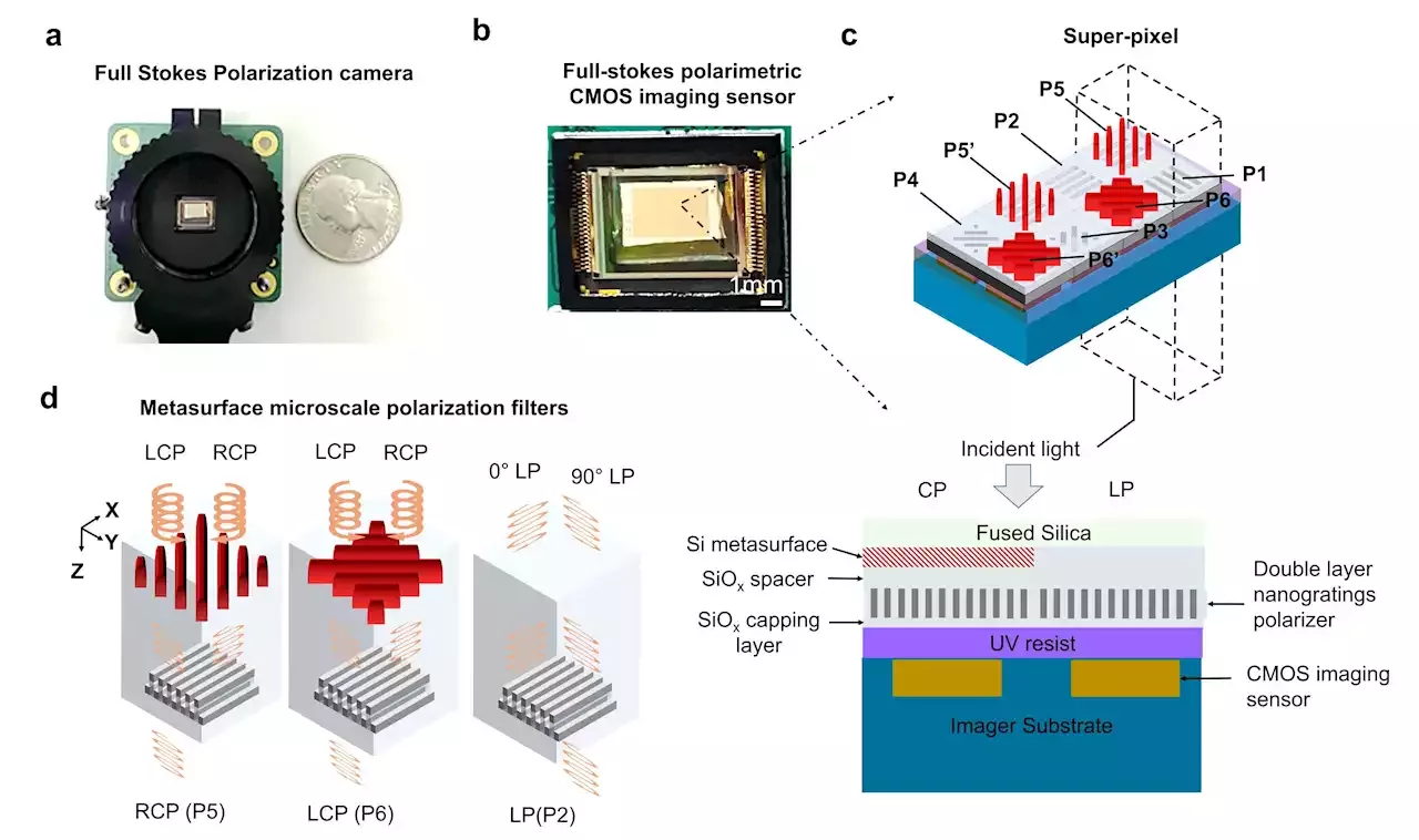 Unveiling the invisible: A bioinspired CMOS-integrated polarization 